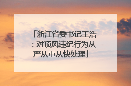 浙江省委书记王浩：对顶风违纪行为从严从重从快处理