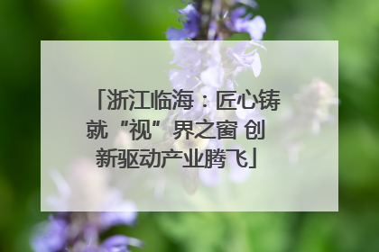 浙江临海：匠心铸就“视”界之窗 创新驱动产业腾飞