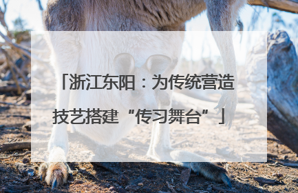 浙江东阳：为传统营造技艺搭建“传习舞台”