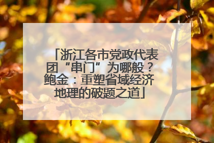 浙江各市党政代表团“串门”为哪般？鲍金：重塑省域经济地理的破题之道