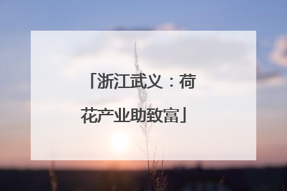 浙江武义：荷花产业助致富