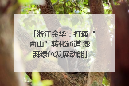浙江金华：打通“两山”转化通道 澎湃绿色发展动能