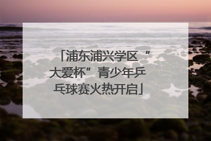 浦东浦兴学区“大爱杯”青少年乒乓球赛火热开启