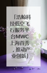 浩鲸科技低空飞行服务平台MWC上海首秀，推动产业创新