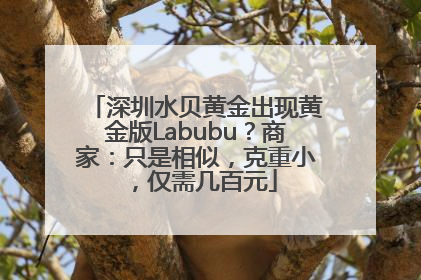 深圳水贝黄金出现黄金版Labubu？商家：只是相似，克重小，仅需几百元