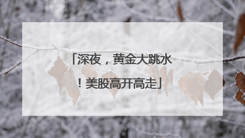 深夜，黄金大跳水！美股高开高走