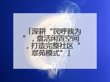 深耕“民呼我为”，盘活闲置空间，打造完整社区“翠苑模式”