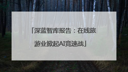 深蓝智库报告：在线旅游业掀起AI竞速战