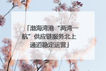 渤海湾港“两湾一航”供应链服务北上通道稳定运营