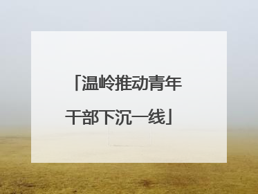 温岭推动青年干部下沉一线