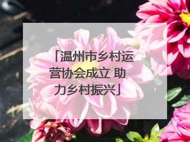 温州市乡村运营协会成立 助力乡村振兴