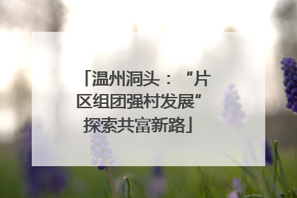 温州洞头：“片区组团强村发展”探索共富新路