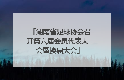 湖南省足球协会召开第六届会员代表大会暨换届大会