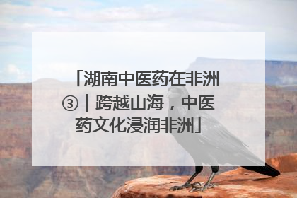 湖南中医药在非洲③｜跨越山海，中医药文化浸润非洲