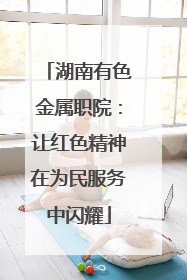 湖南有色金属职院：让红色精神在为民服务中闪耀