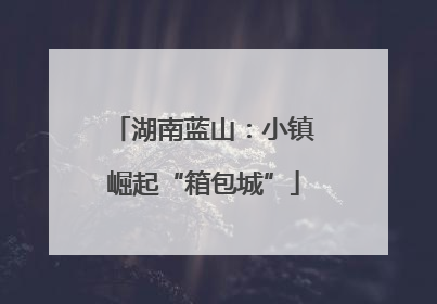 湖南蓝山：小镇崛起“箱包城”