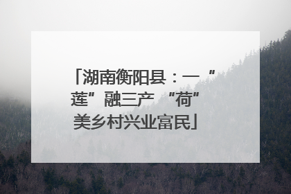 湖南衡阳县：一“莲”融三产 “荷”美乡村兴业富民