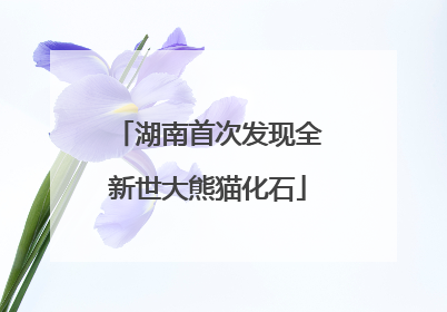湖南首次发现全新世大熊猫化石