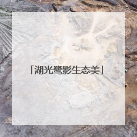 湖光鹭影生态美