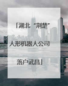 湖北“荆楚”人形机器人公司落户武昌