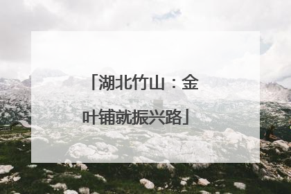 湖北竹山：金叶铺就振兴路