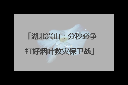 湖北兴山：分秒必争 打好烟叶救灾保卫战