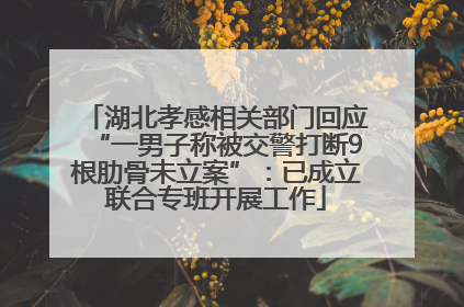湖北孝感相关部门回应“一男子称被交警打断9根肋骨未立案”：已成立联合专班开展工作