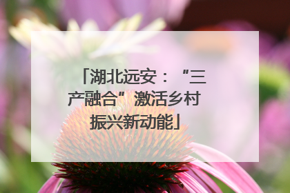 湖北远安：“三产融合”激活乡村振兴新动能