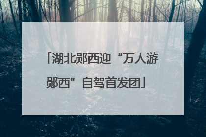 湖北郧西迎“万人游郧西”自驾首发团