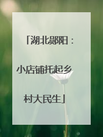 湖北郧阳：小店铺托起乡村大民生