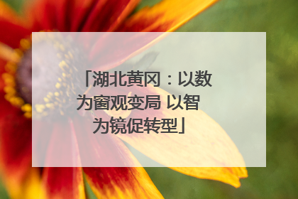 湖北黄冈：以数为窗观变局 以智为镜促转型