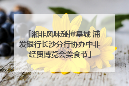 湘非风味碰撞星城 浦发银行长沙分行协办中非经贸博览会美食节