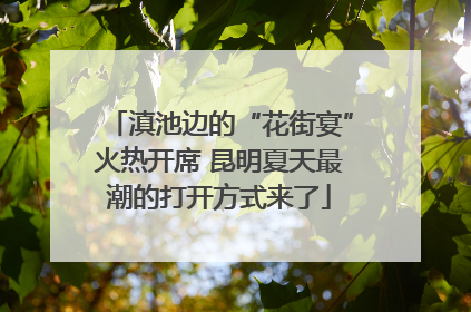 滇池边的“花街宴”火热开席 昆明夏天最潮的打开方式来了