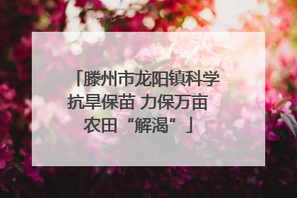 滕州市龙阳镇科学抗旱保苗 力保万亩农田“解渴”