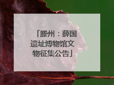 滕州：薛国遗址博物馆文物征集公告