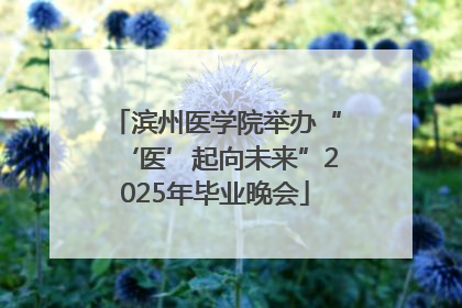 滨州医学院举办“‘医’起向未来”2025年毕业晚会