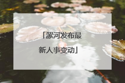 漯河发布最新人事变动