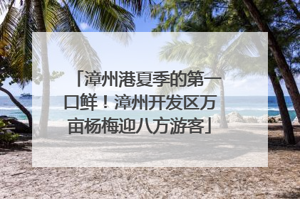 漳州港夏季的第一口鲜！漳州开发区万亩杨梅迎八方游客