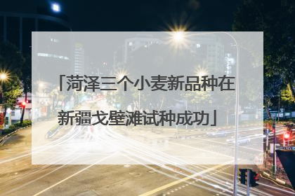 菏泽三个小麦新品种在新疆戈壁滩试种成功