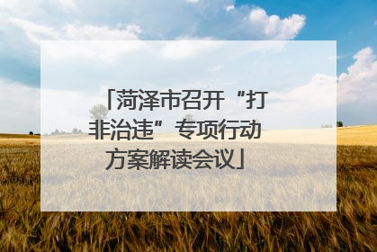 菏泽市召开“打非治违”专项行动方案解读会议