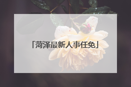 菏泽最新人事任免