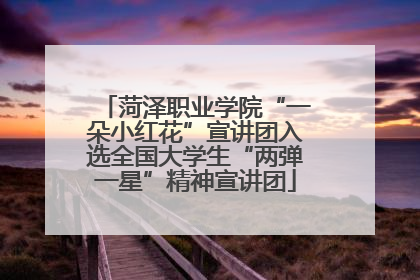 菏泽职业学院“一朵小红花”宣讲团入选全国大学生“两弹一星”精神宣讲团