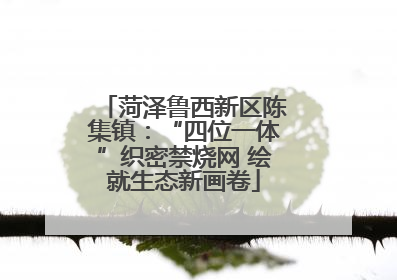 菏泽鲁西新区陈集镇：“四位一体”织密禁烧网 绘就生态新画卷