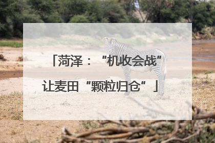 菏泽：“机收会战”让麦田“颗粒归仓”