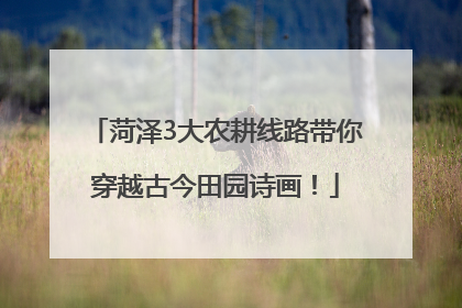 菏泽3大农耕线路带你穿越古今田园诗画！