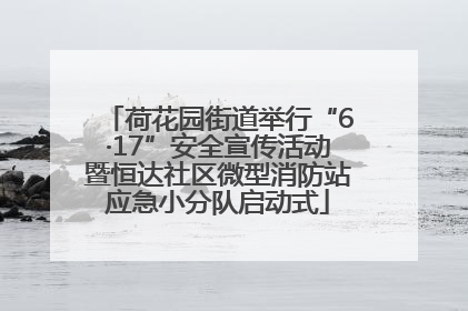 荷花园街道举行“6·17”安全宣传活动暨恒达社区微型消防站应急小分队启动式