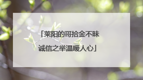 莱阳的哥拾金不昧 诚信之举温暖人心