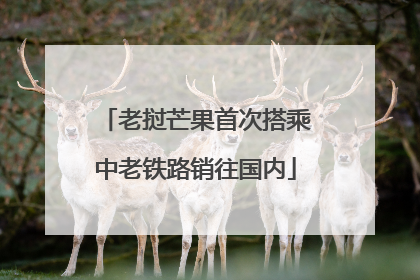 老挝芒果首次搭乘中老铁路销往国内