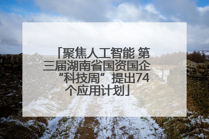 聚焦人工智能 第三届湖南省国资国企“科技周”提出74个应用计划