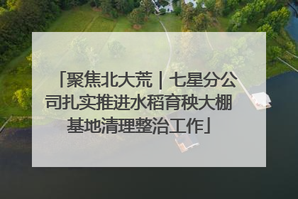 聚焦北大荒｜七星分公司扎实推进水稻育秧大棚基地清理整治工作